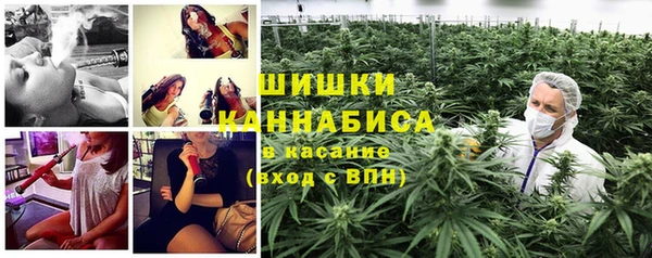 трава Гусиноозёрск