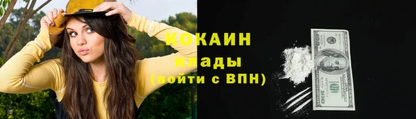 трава Гусиноозёрск