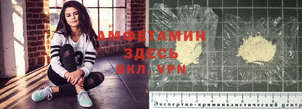 трава Гусиноозёрск