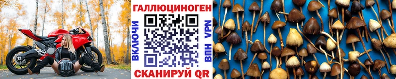 Купить закладки  Козельск  Галлюциногенные грибы ЛСД 